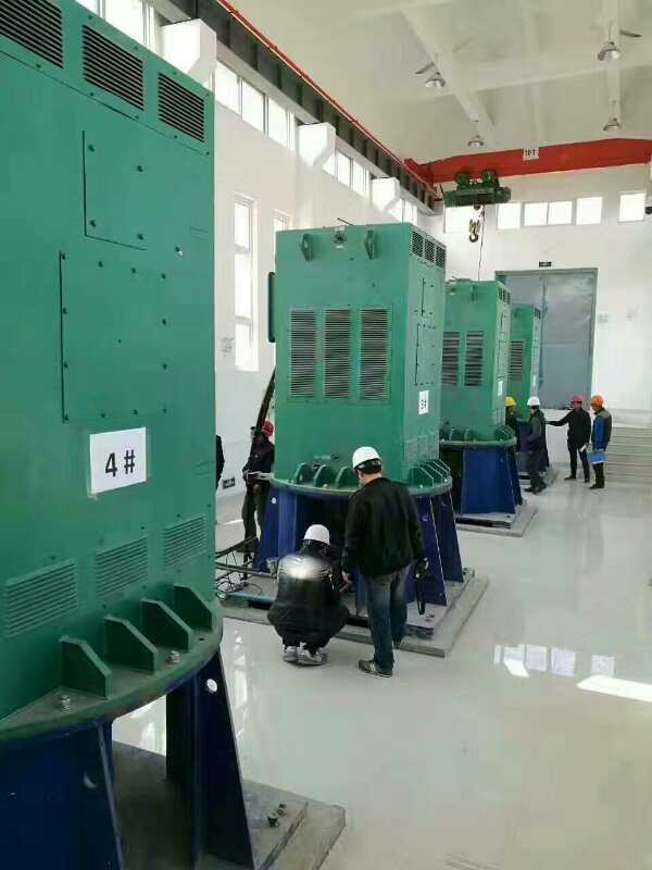 鹿寨某污水处理厂使用我厂的立式高压电机安装现场安装尺寸